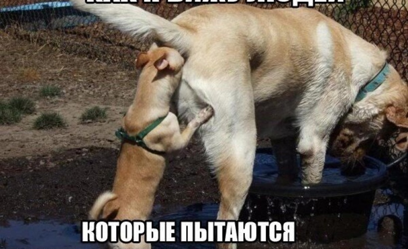Комментарий пользователя: DeLorean