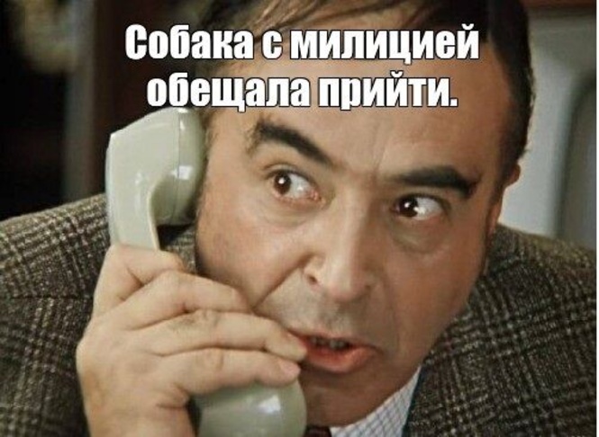 Комментарий пользователя: Гога