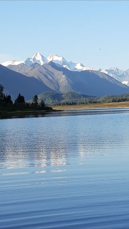 Комментарий пользователя: Дядя Вася