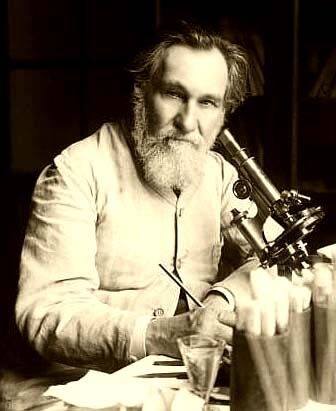 Комментарий пользователя: montereyx