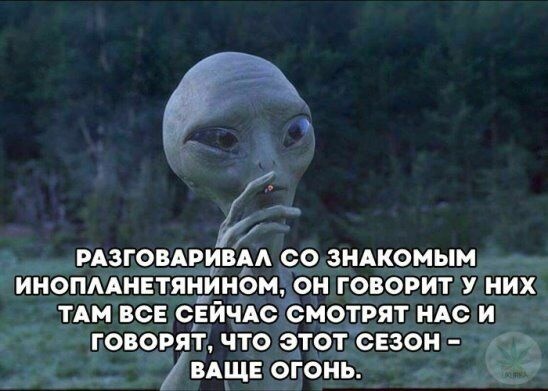 Комментарий пользователя: montereyx