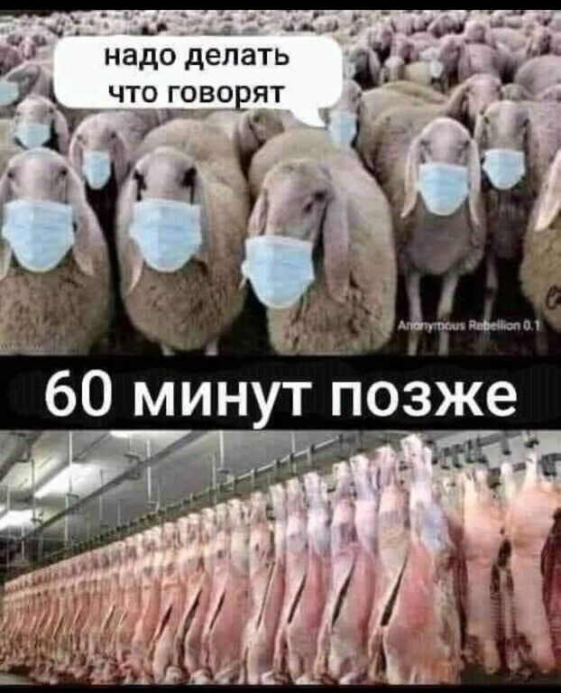 Комментарий пользователя: 198