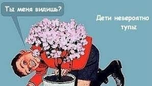 Комментарий пользователя: Legat