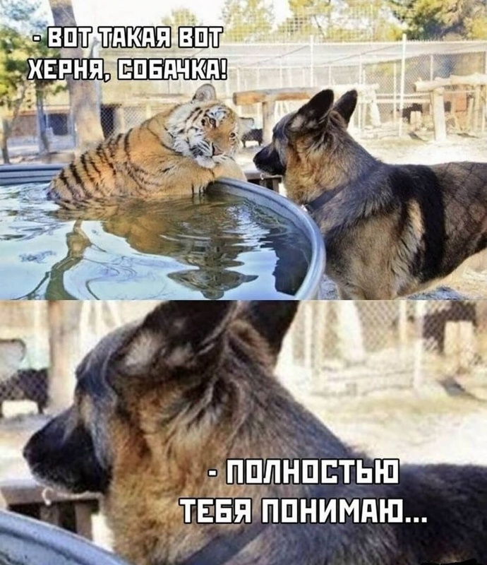 Комментарий пользователя: 198
