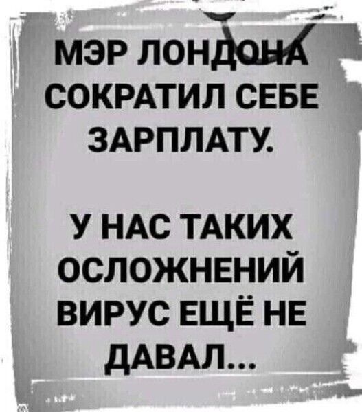 Комментарий пользователя: 198