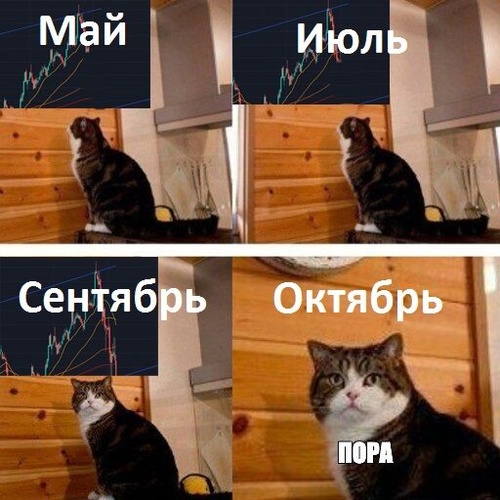 Комментарий пользователя: Гога