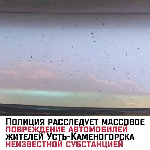 Комментарий пользователя: Эйла