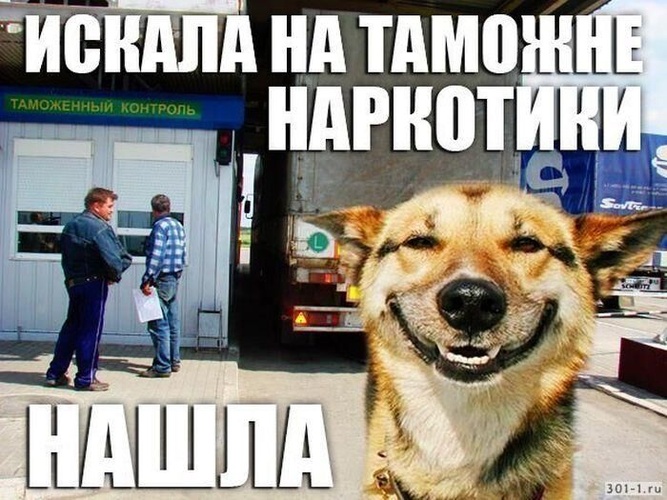 Комментарий пользователя: Гога