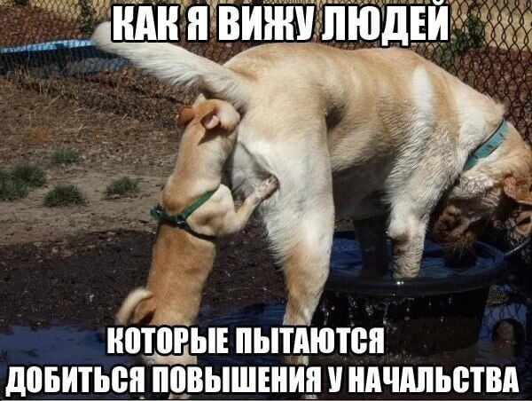 Комментарий пользователя: DeLorean