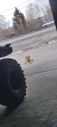 Комментарий пользователя: Все ук.кз.... под акиматом......