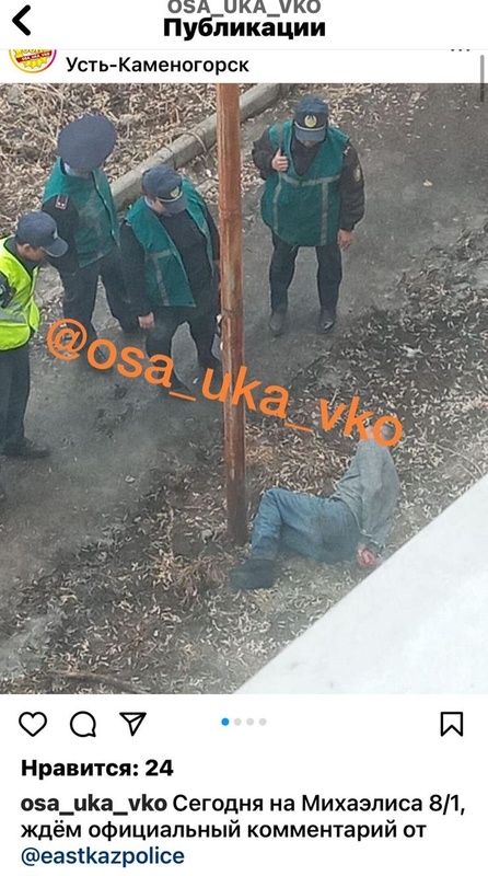 Комментарий пользователя: Эйла