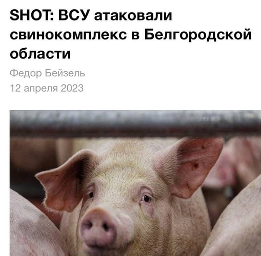 Комментарий пользователя: V O Z