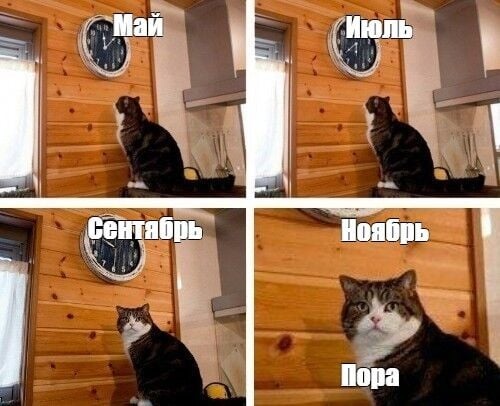 Комментарий пользователя: Mein Land