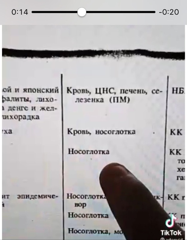 Комментарий пользователя: Эйла
