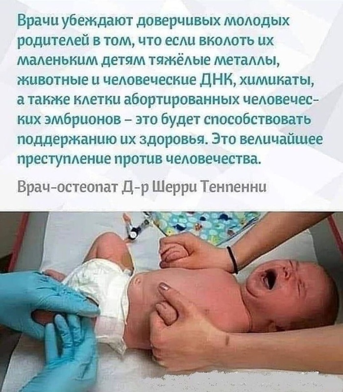 Комментарий пользователя: Оптимист