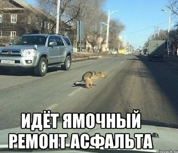 Комментарий пользователя: Жители