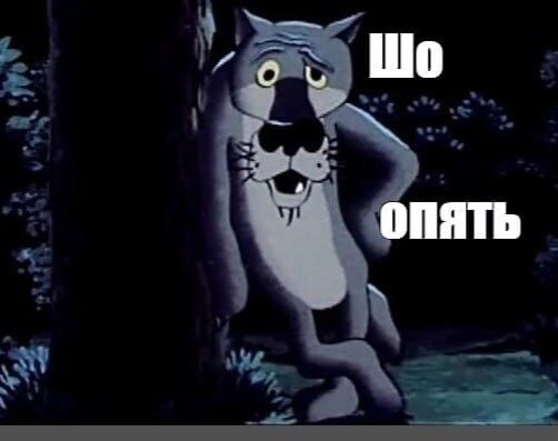 Комментарий пользователя: 198