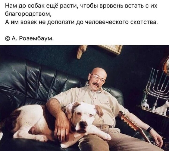 Комментарий пользователя: МАТ вей