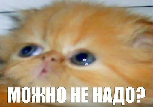 Комментарий пользователя: Гога