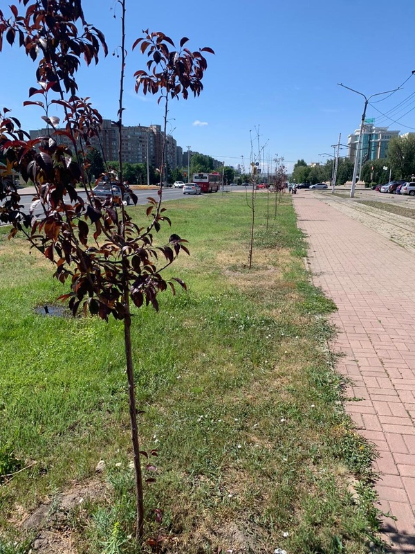 Комментарий пользователя: Локатор