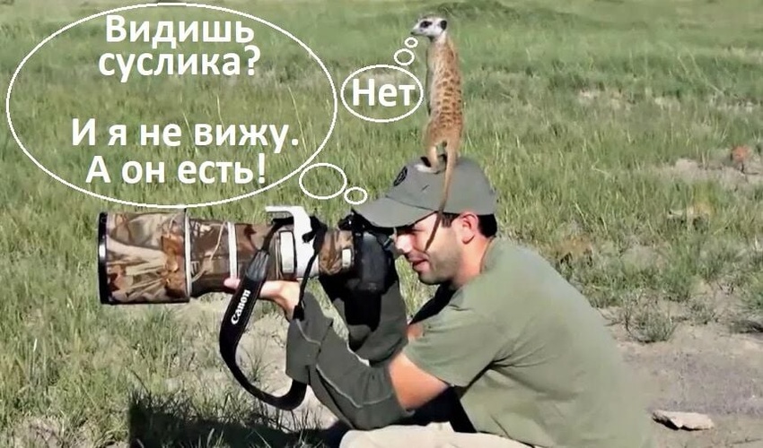 Комментарий пользователя: 705