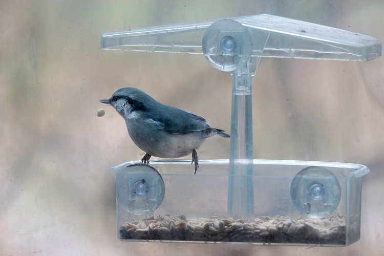 Комментарий пользователя: Val