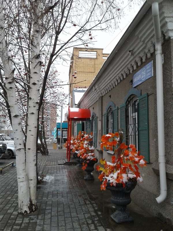 Комментарий пользователя: 745