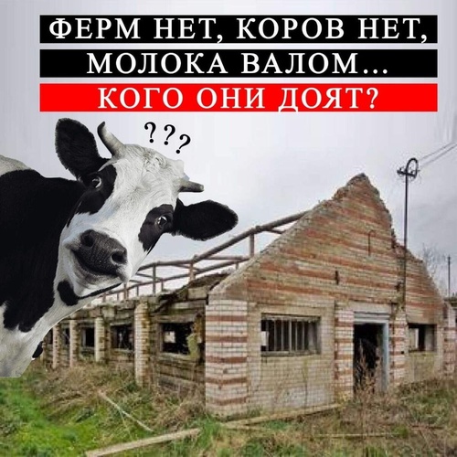 Комментарий пользователя: 745