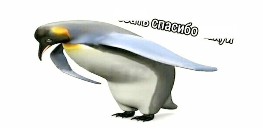 Комментарий пользователя: Гога