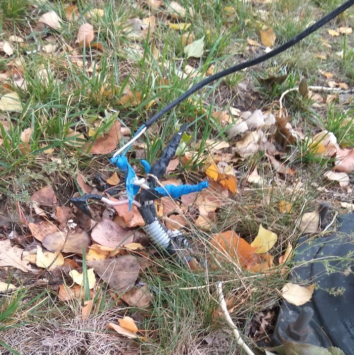 Комментарий пользователя: Лесхоз