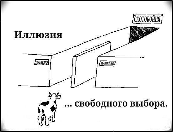 Комментарий пользователя: Прохожий