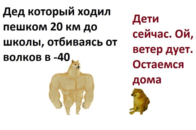 Комментарий пользователя: Гога