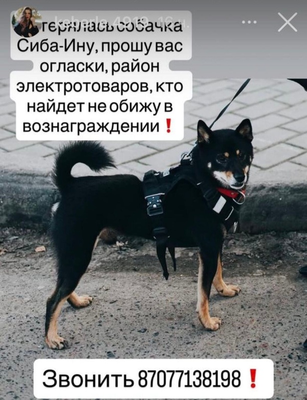 Комментарий пользователя: МорозТана