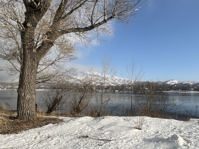 Комментарий пользователя: Чапаев