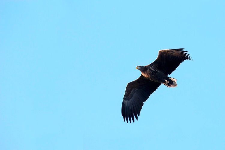 Комментарий пользователя: Val