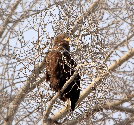 Комментарий пользователя: Val