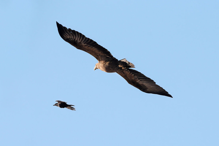 Комментарий пользователя: Val