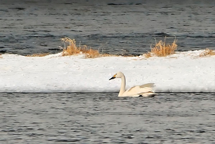 Комментарий пользователя: Val