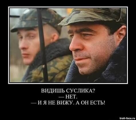 Комментарий пользователя: 198