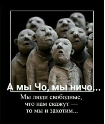 Комментарий пользователя: 198